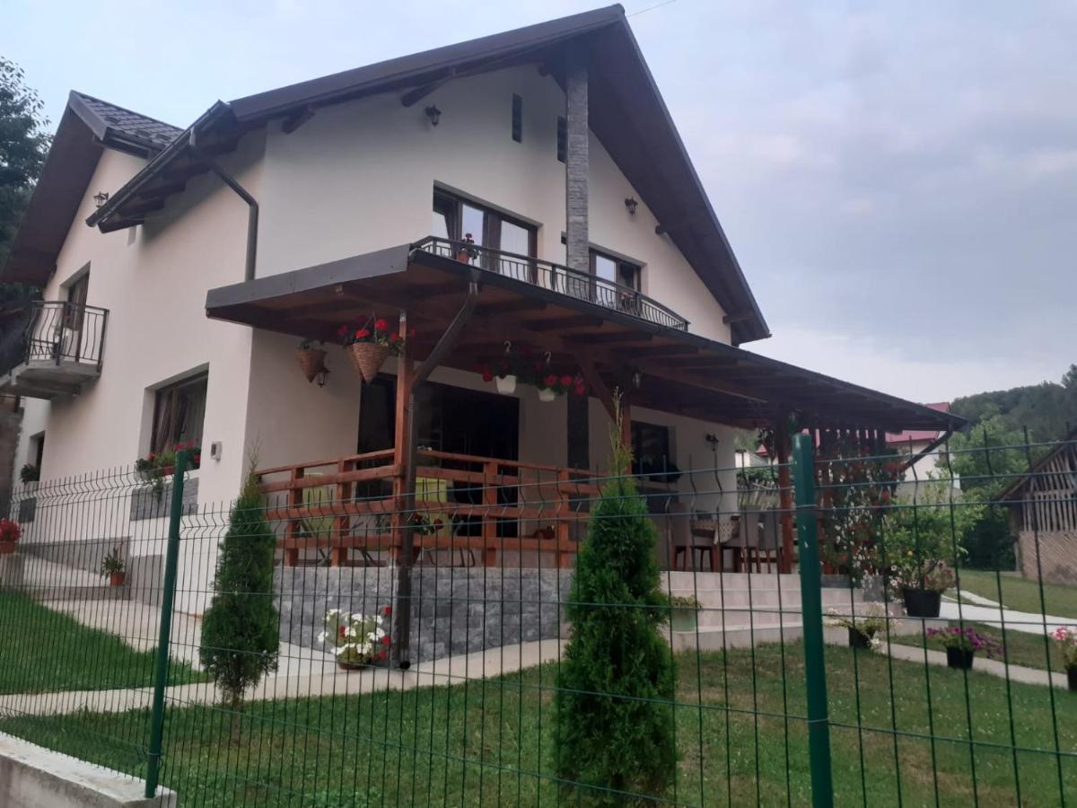 Casa Alex Hotel Curtea De Arges Luaran gambar