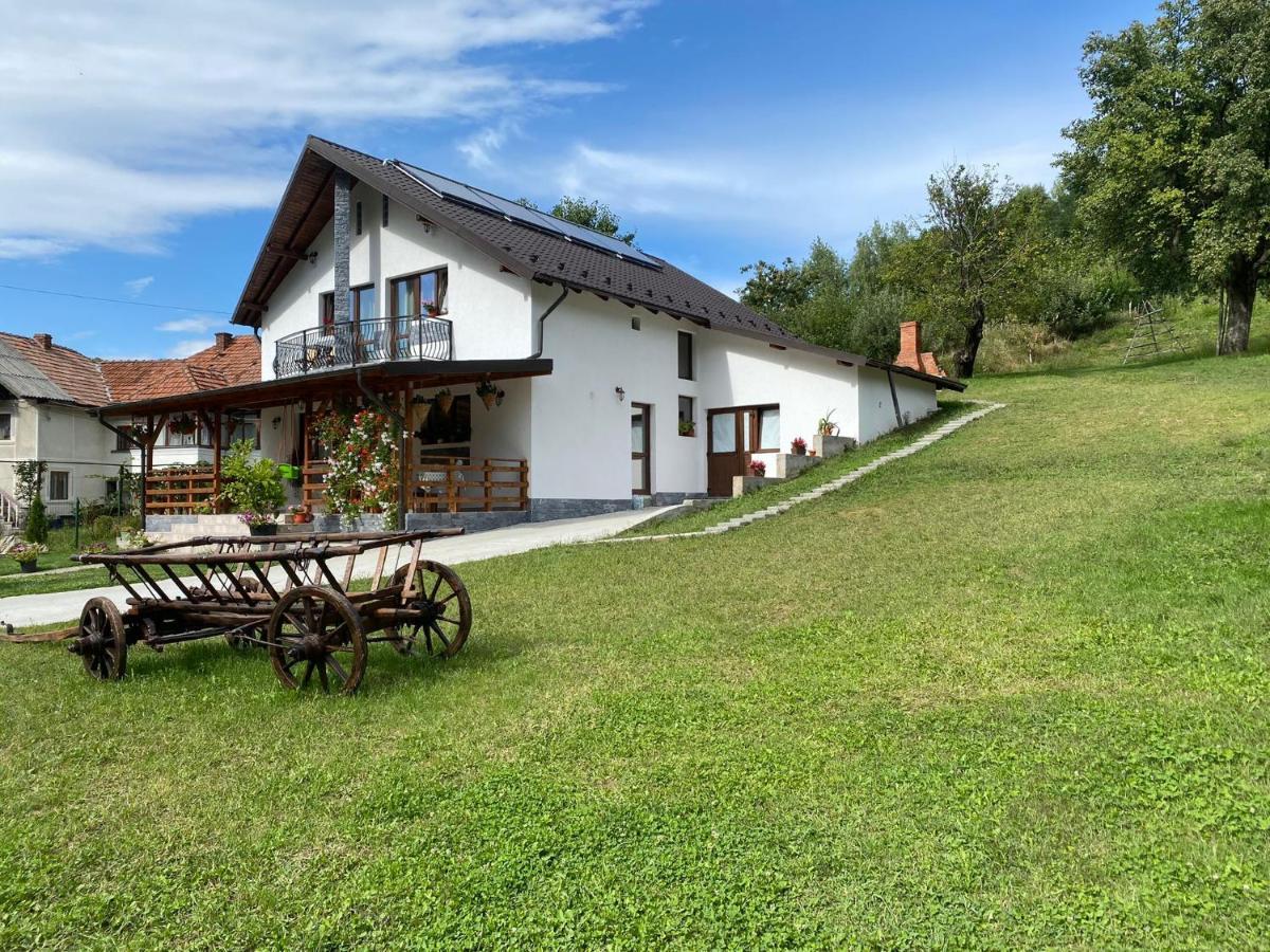 Casa Alex Hotel Curtea De Arges Luaran gambar