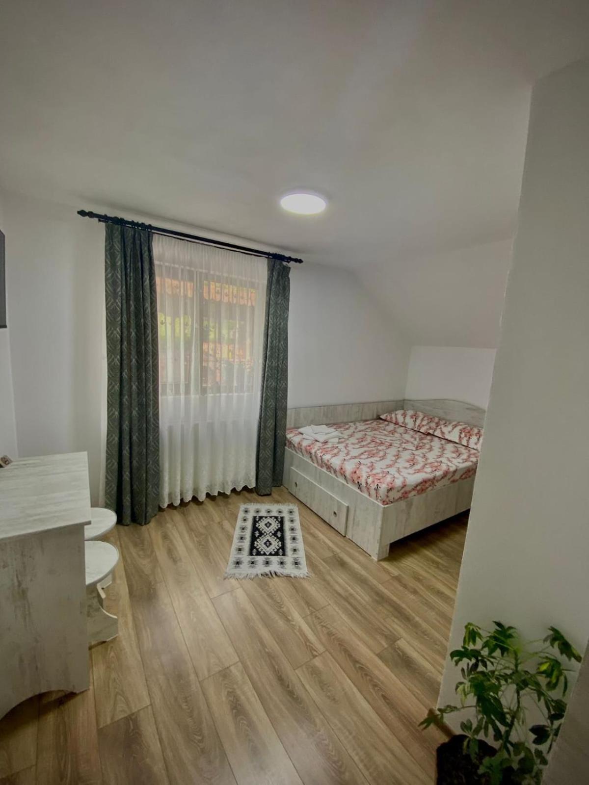 Casa Alex Hotel Curtea De Arges Luaran gambar